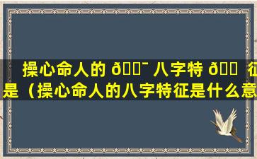 操心命人的 🐯 八字特 🐠 征是（操心命人的八字特征是什么意思）